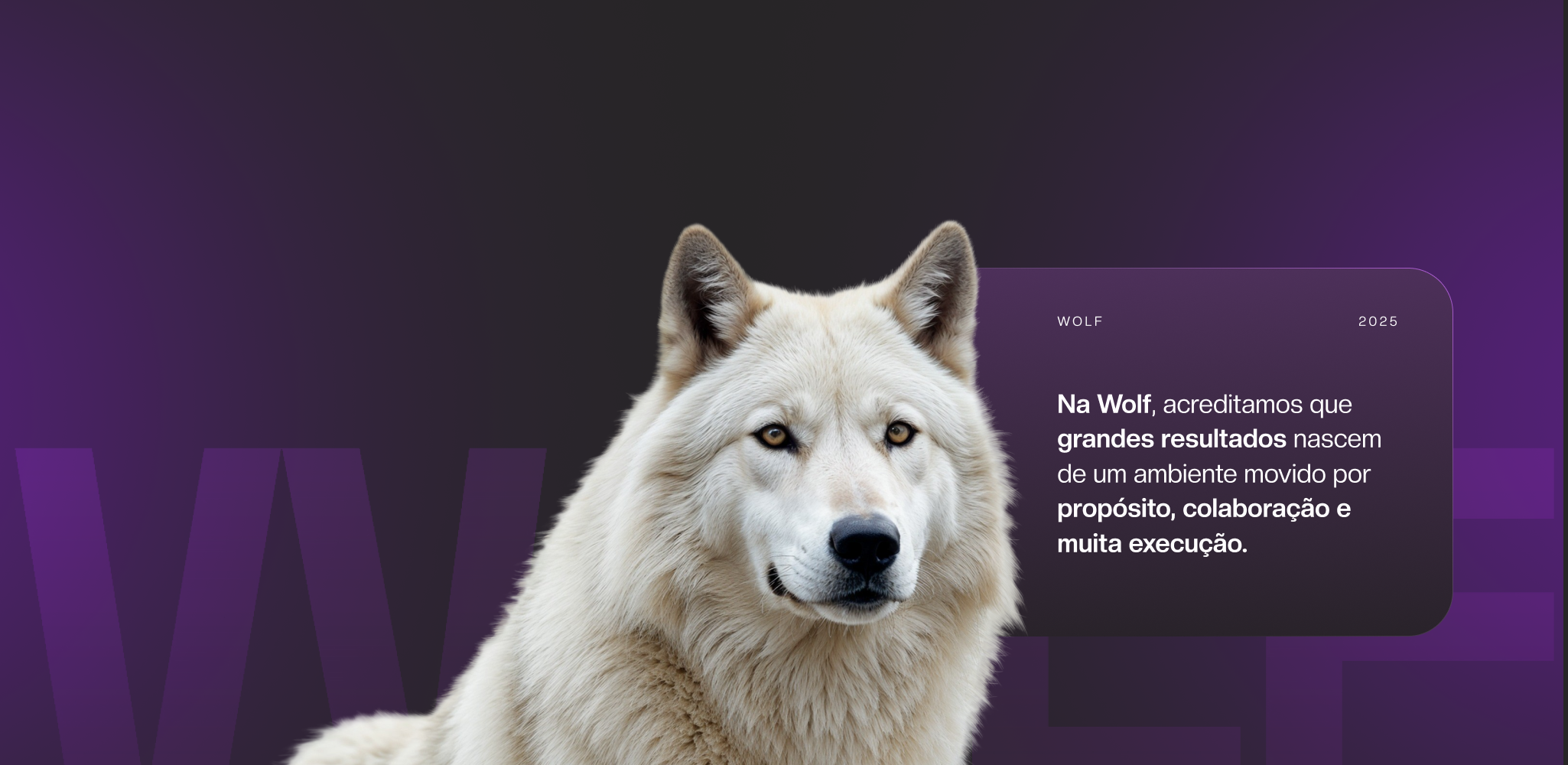 bg banner